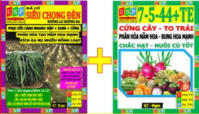 CHÔNG ĐÈN LẦN 1: SIÊU CHONG ĐÈN + 7.5.44 TE