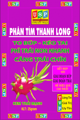 KÍCH TO TRÁI THANH LONG - PHÂN TÍM