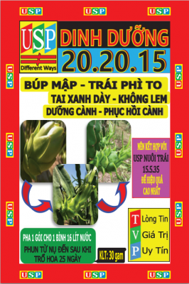 DƯỠNG BÚP-TRÁI 20.20.15 - 30gam