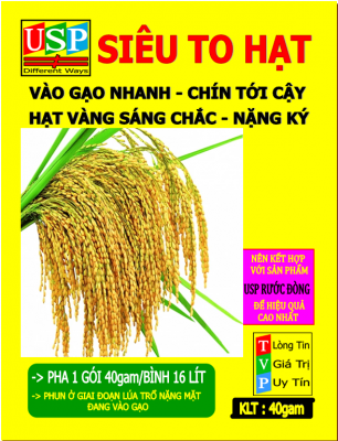 SIÊU TO HẠT - CHẮC HẠT LÚA USP