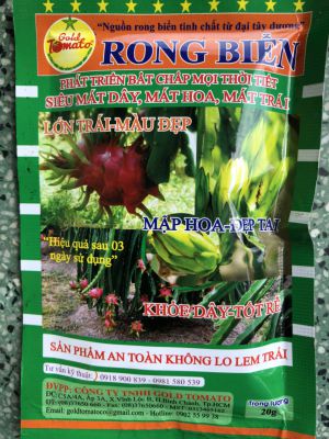 RONG BIỂN MÁT TRÁI THANH LONG