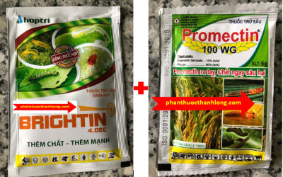 Combo Thuốc sâu sinh học - đặc trị sâu vẽ bùa