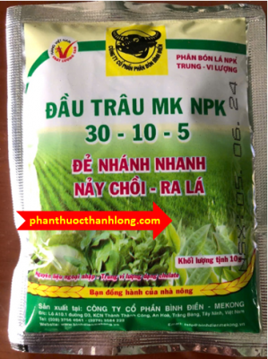 ĐẦU TRÂU 30 10 5 ĐÂM CHỒI, NẢY NHÁNH, TO LÁ