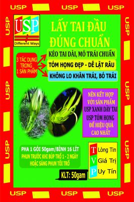 LẤY TAI ĐẦU ĐÚNG CHUẨN