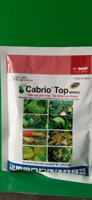 THUỐC TRỊ NẤM BỆNH CABRIO TOP 600WG