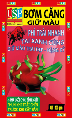 KÍCH THÍCH TO TRÁI - BOM CĂNG TRÁI THANH LONG