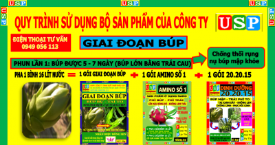 BÚP LẦN 1