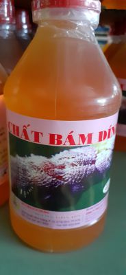 CHẤT BÁM DÍNH