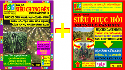 COMBO PHỤC HỒI CÀNH CHONG ĐÈN