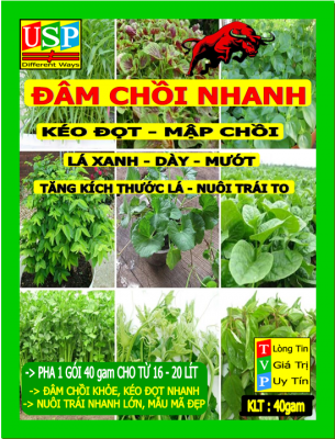 ĐÂM CHỒI NHANH - KÉP ĐỌT - NỞ BỤI USP