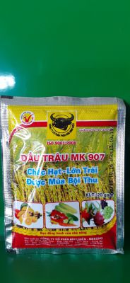 ĐẦU TRÂU 907