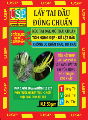 LẤY 3 TAI ĐẦU THANH LONG ĐÚNG CHUẨN 