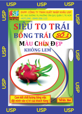 SIÊU TO TRÁI SỐ 1 CHUYÊN CHO THANH LONG