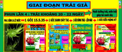 COMBO DƯỠNG TRÁI GIÀ LẦN 4