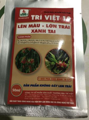 TRÍ VIỆT 10 - THANH LONG